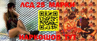 молекула духа Заволжье