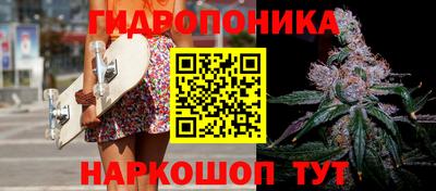 молекула духа Заволжье